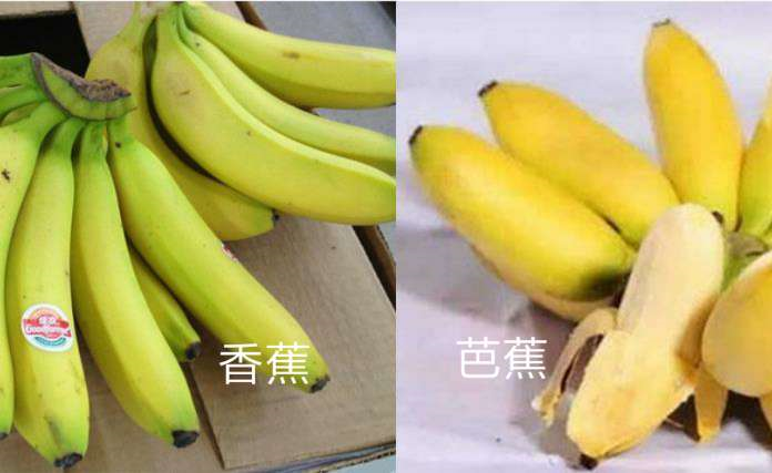 香蕉和芭蕉有什么区别