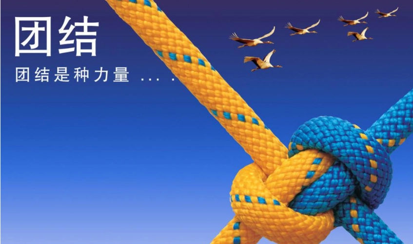 团结的谚语