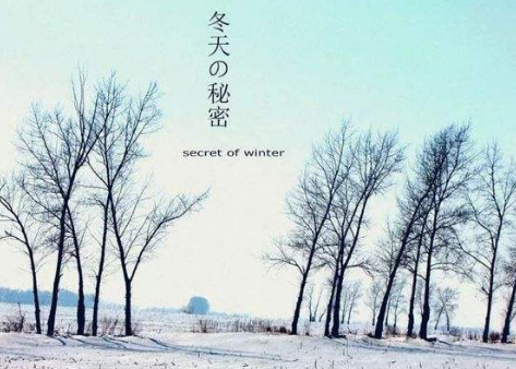 关于冬天的歌曲