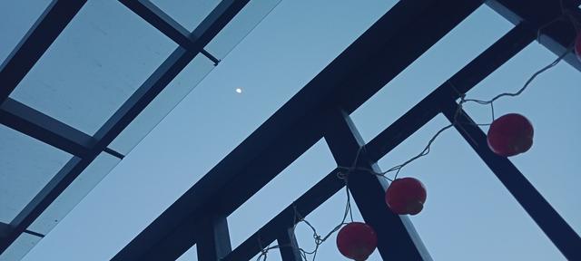 凤还朝:妖孽王爷请让道。叶宋、苏宸版。最后结局是什么,叶宋跟谁在一起了,我找不到结局啊~~~求大神