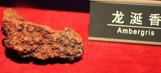 鲸鱼是怎么排泄的？