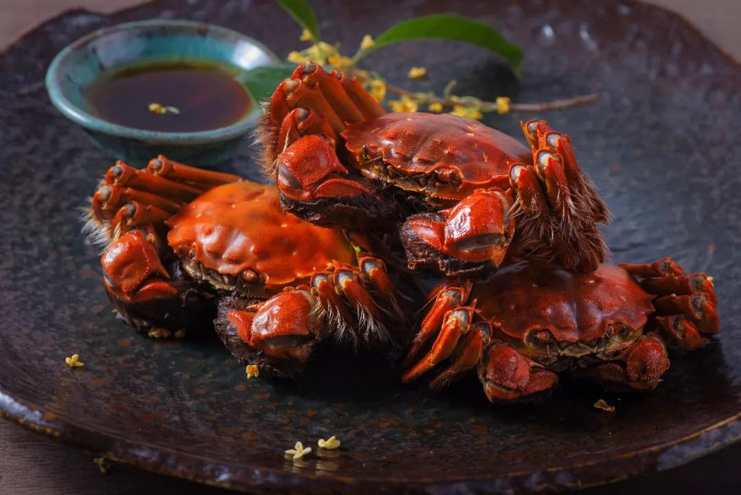 咱们来谈谈郑州有多少家大闸蟹店，哪一家比较好？