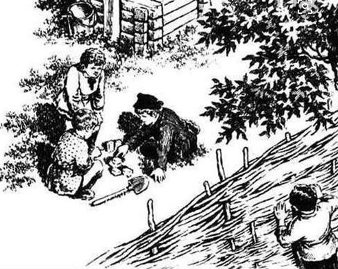 《童年》的精彩片段摘抄