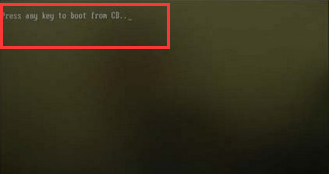 如何给服务器装系统