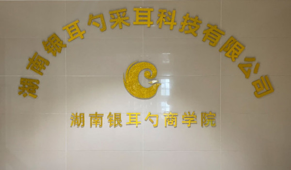 采耳培训班一般都怎么收费?