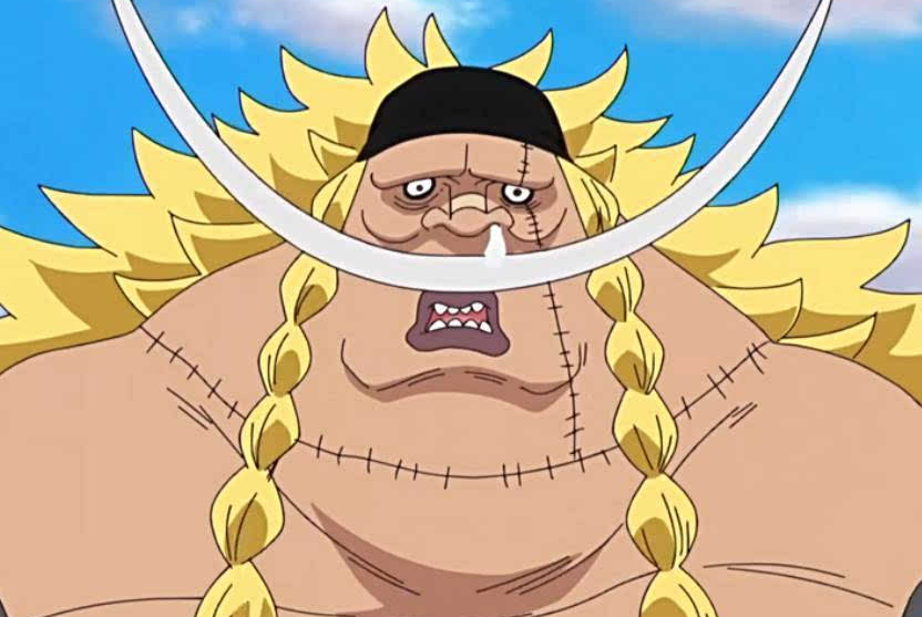 《海贼王》爱德华威布尔是白胡子亲儿子的可能性有多大