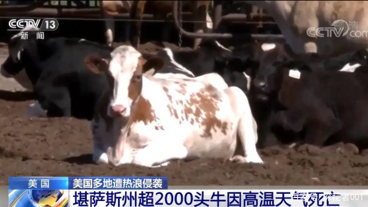 河南地表最高温74℃,南京树木自燃烧断根,为何如此反常?