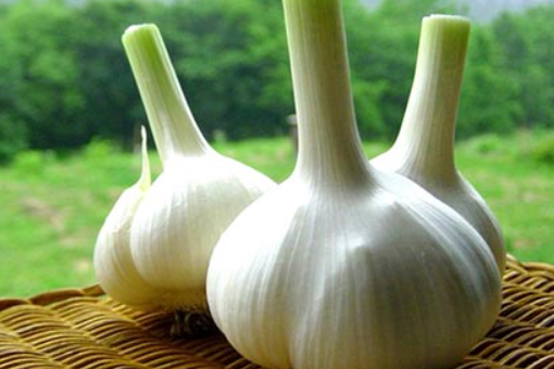 脑血栓吃什么食物好