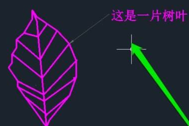 cad怎么引线标注文字