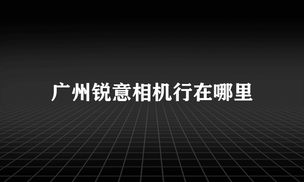 广州锐意相机行在哪里