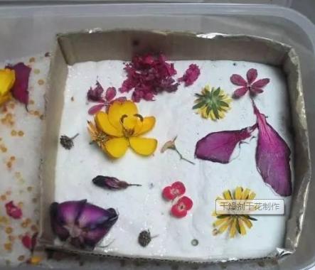 干花的制作方法