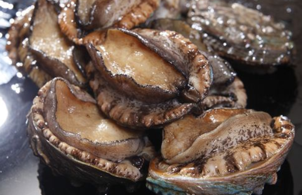 鲍鱼20头和30头的区别