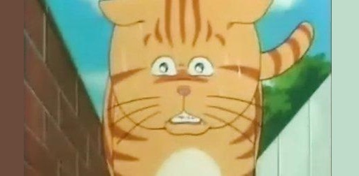 关于猫的日本动漫