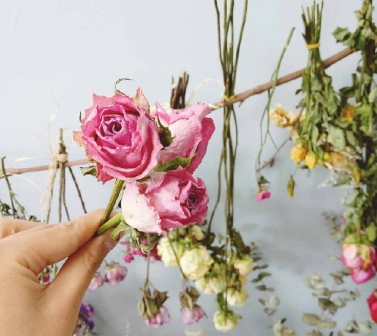 干花的制作方法