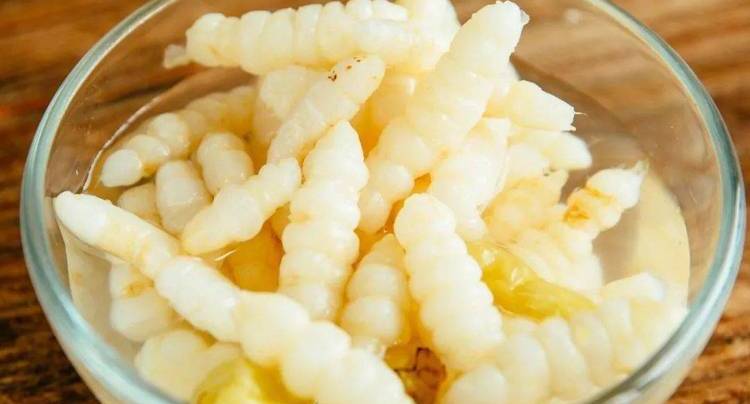 农村一种虫叫蚁蛳,又叫地牯牛,养殖经济价值如何?