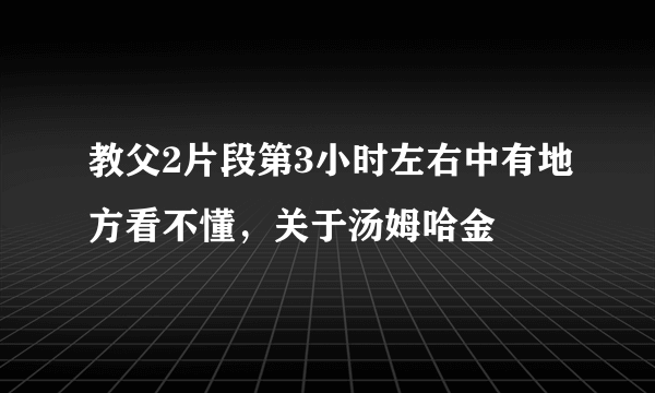 教父2片段第3小时左右中有地方看不懂，关于汤姆哈金