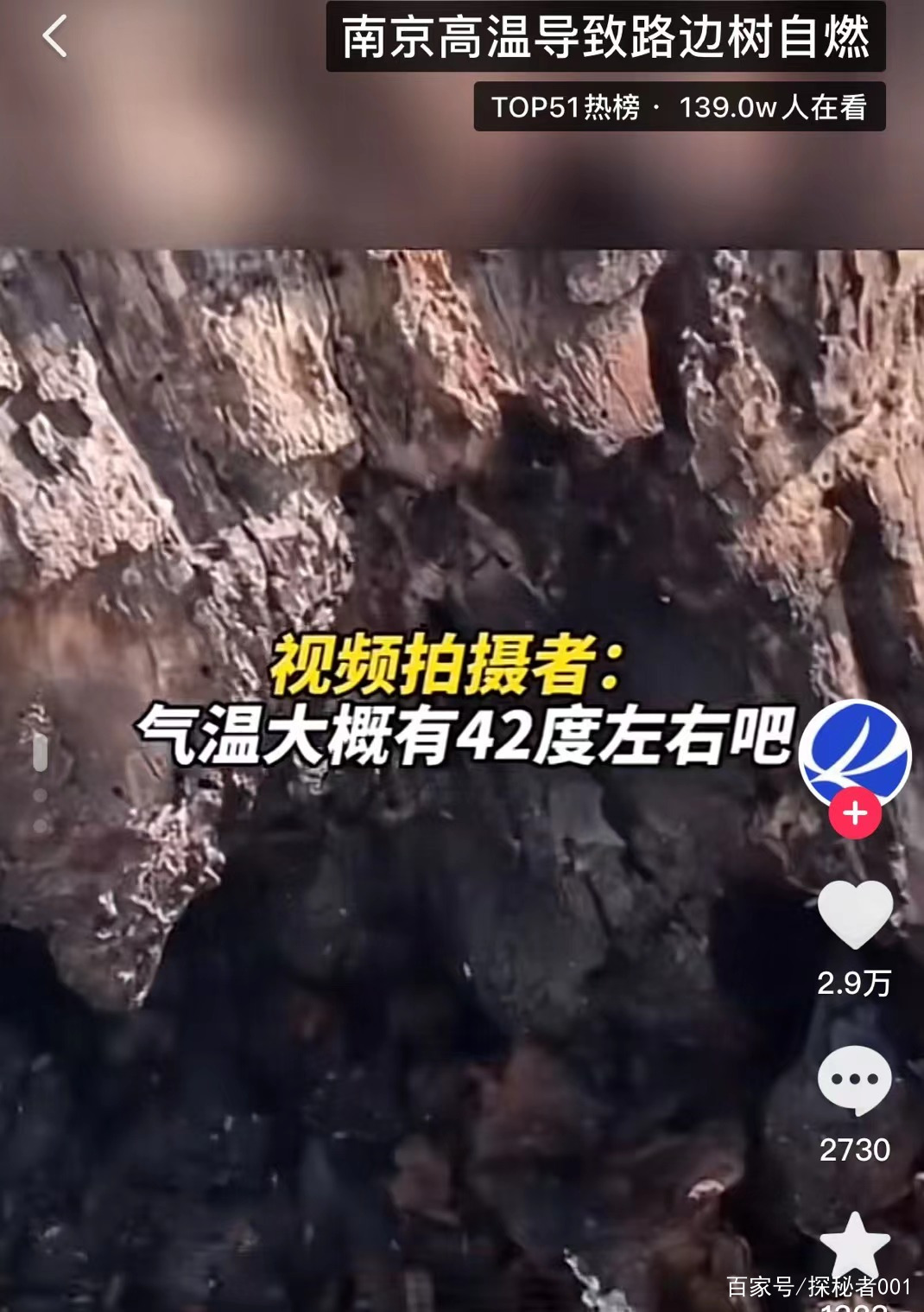 河南地表最高温74℃,南京树木自燃烧断根,为何如此反常?