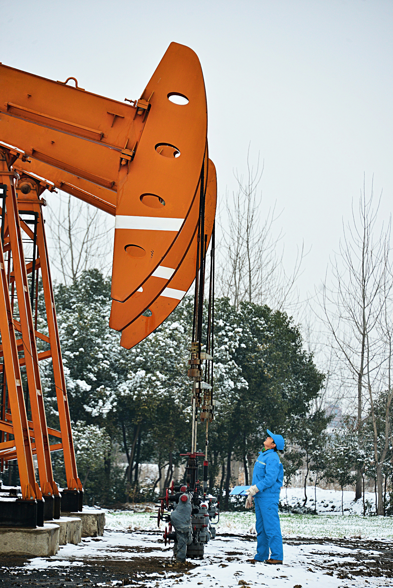 什么被称为黑色金子?它的价值如何?