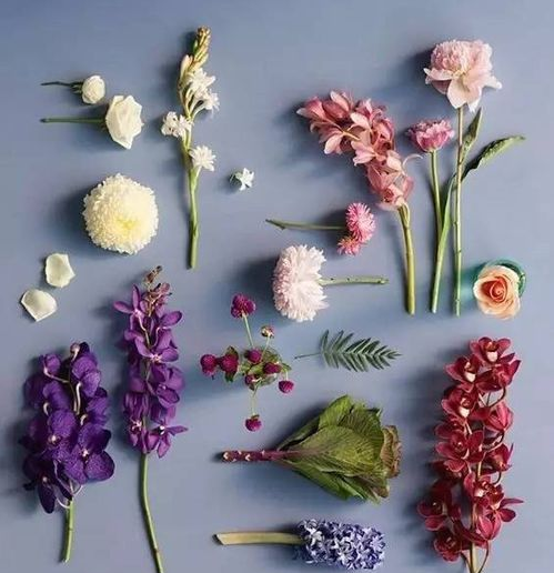 干花的制作方法