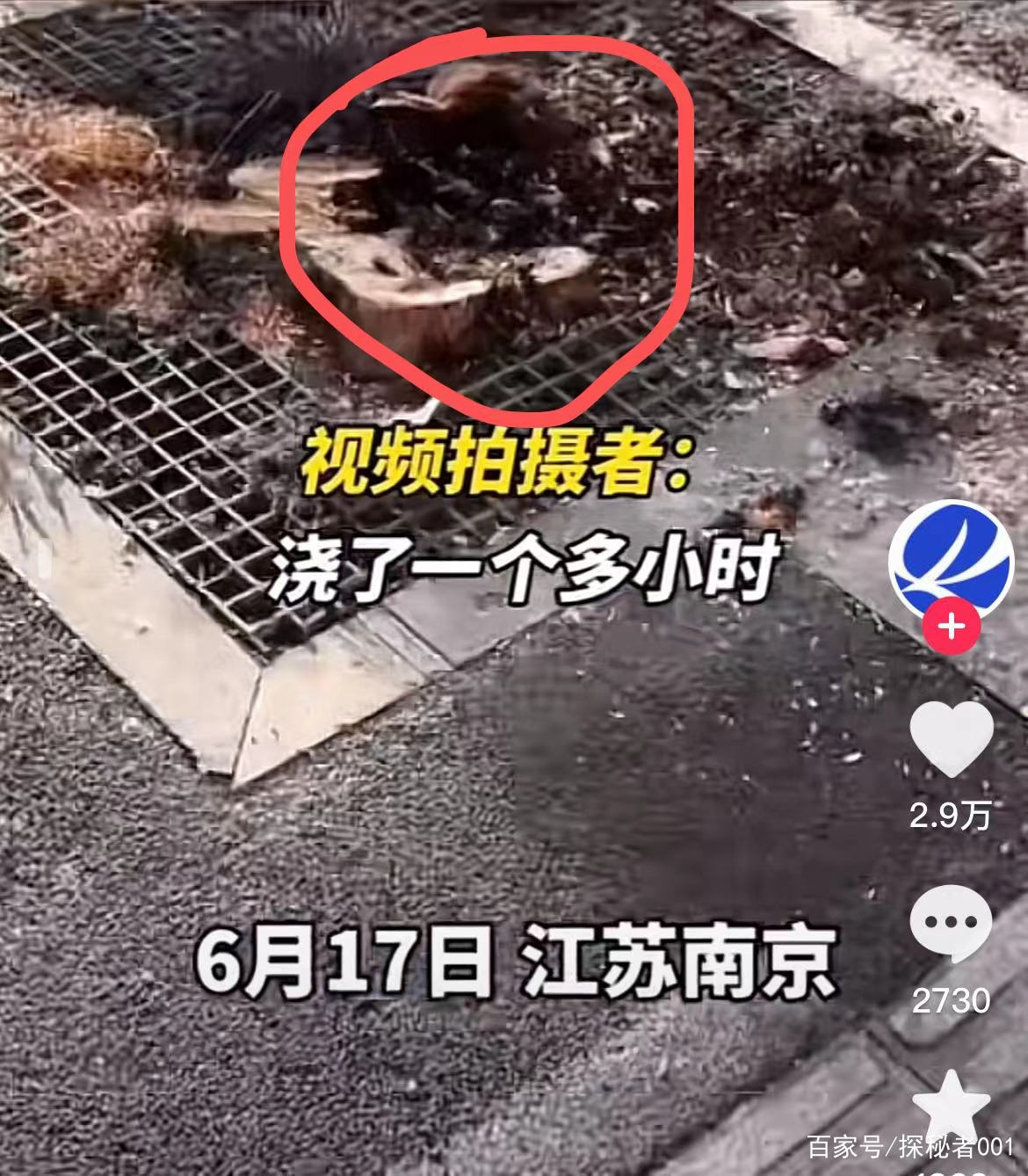 河南地表最高温74℃,南京树木自燃烧断根,为何如此反常?