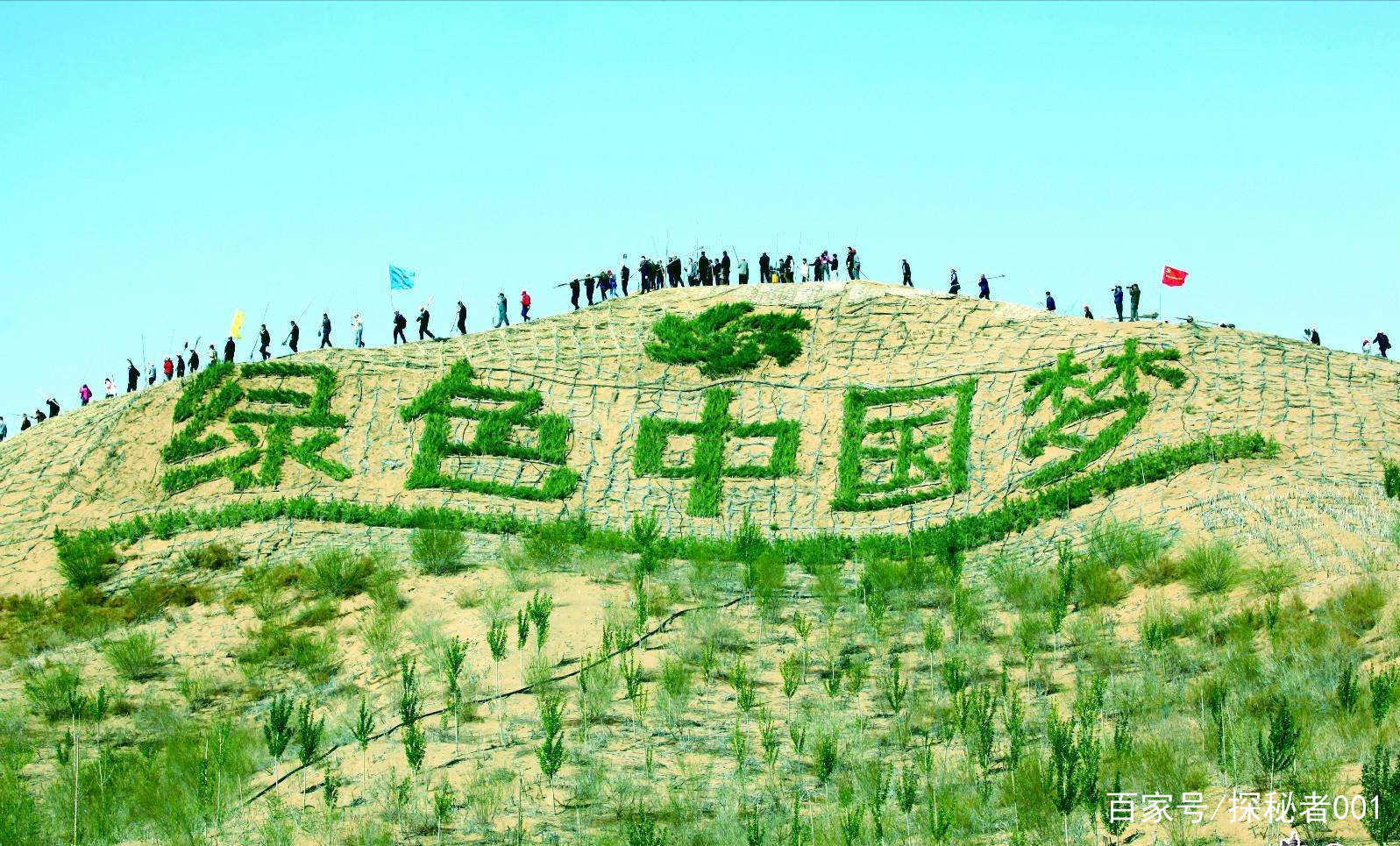 河南地表最高温74℃,南京树木自燃烧断根,为何如此反常?