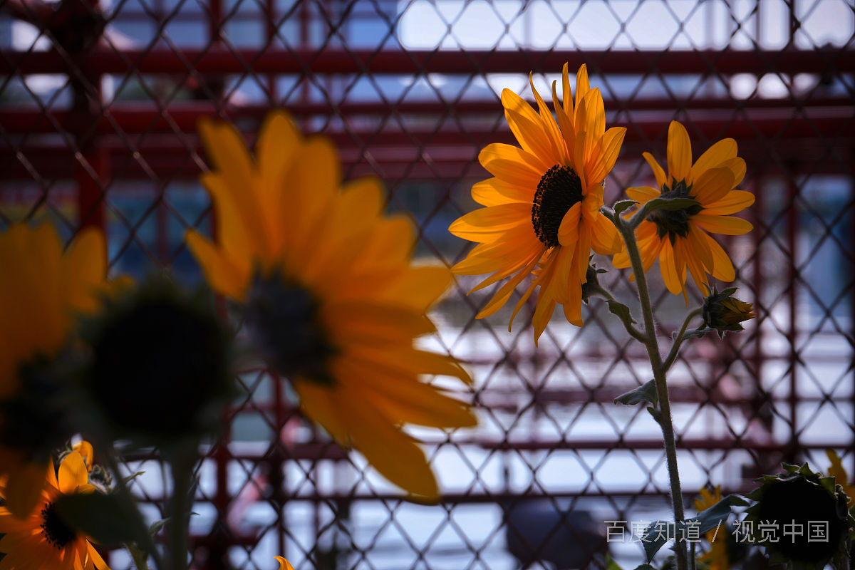 情人节送什么给女朋友比较有意义