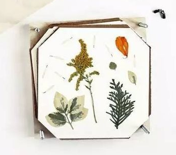 干花的制作方法