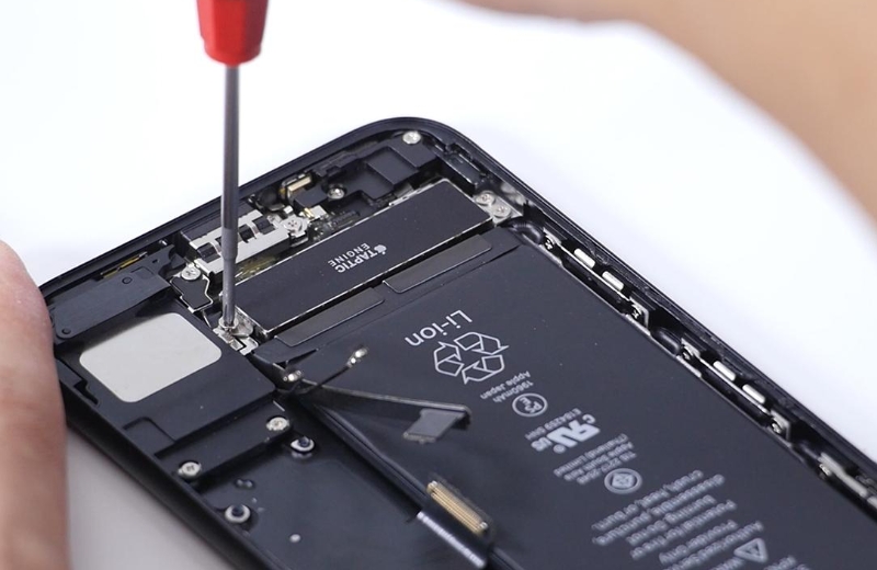 西湖景区惊现男子手机掉西湖40分钟,为何围观群众比当事人更激动?