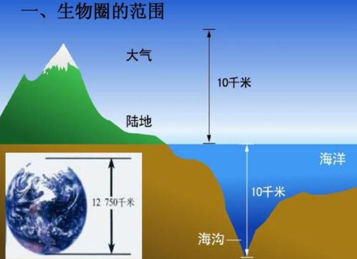 生物圈的范围包括什么.生物圈的范围包括