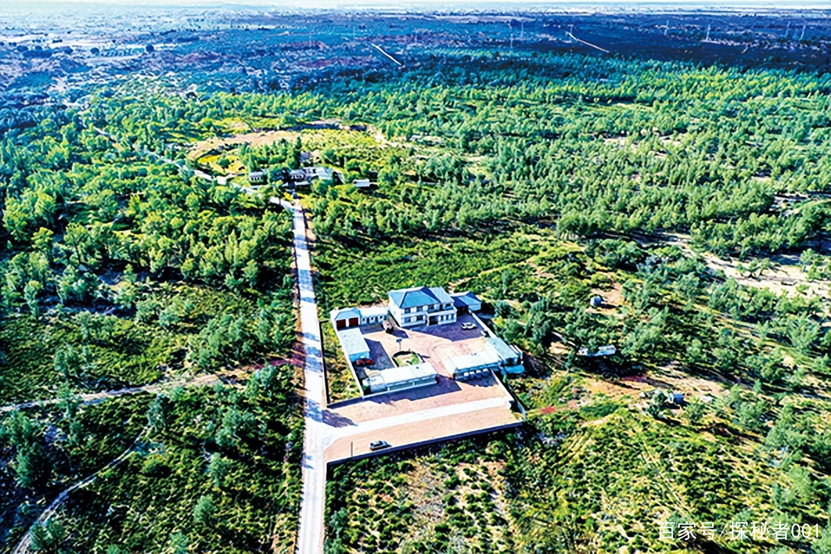 河南地表最高温74℃,南京树木自燃烧断根,为何如此反常?