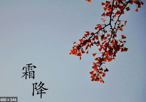 霜降三旬后,下一句是啥