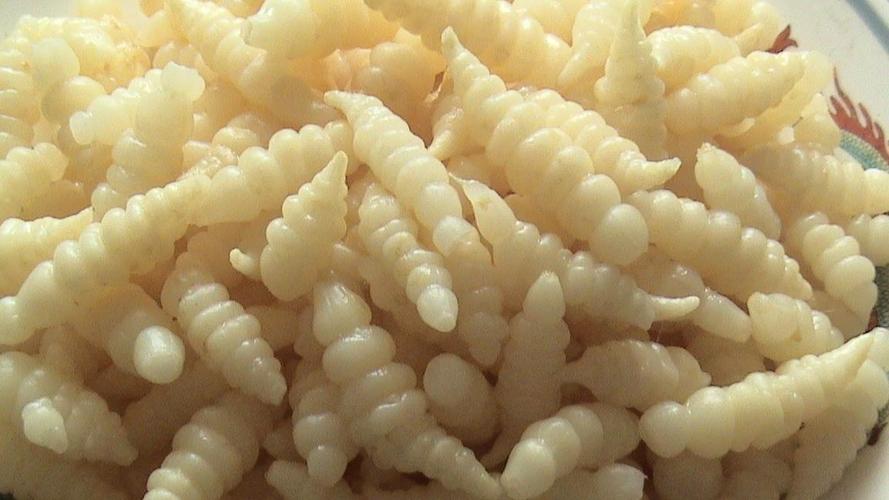 农村一种虫叫蚁蛳,又叫地牯牛,养殖经济价值如何?