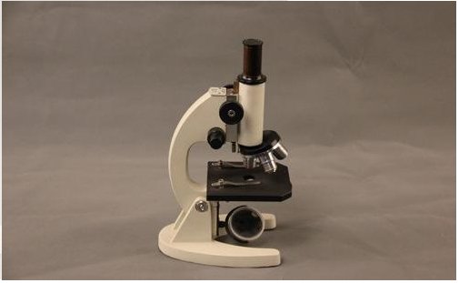 生物显微镜一般多少钱一台