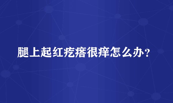 腿上起红疙瘩很痒怎么办？