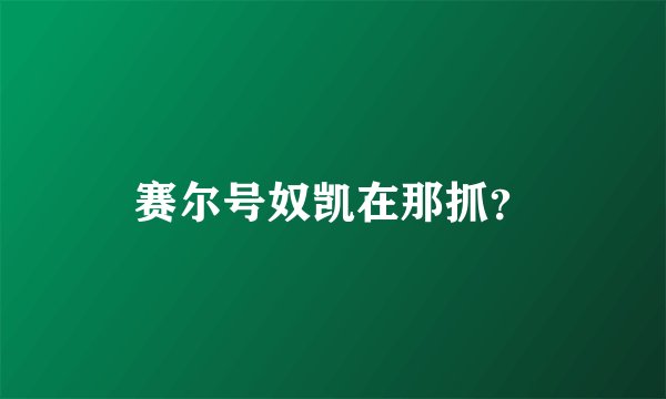 赛尔号奴凯在那抓？