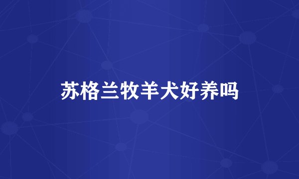苏格兰牧羊犬好养吗
