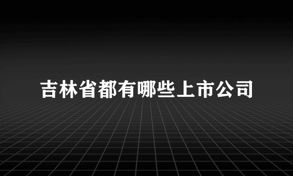 吉林省都有哪些上市公司