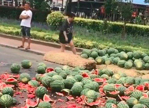 对于吉林瓜农怒摔西瓜城管是如何回应的？