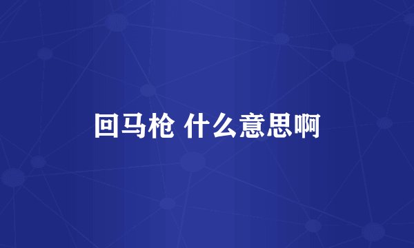回马枪 什么意思啊