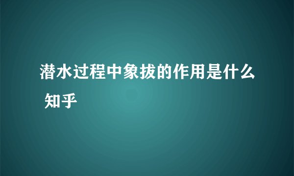 潜水过程中象拔的作用是什么 知乎