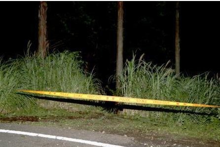 日本深山发现尸体？