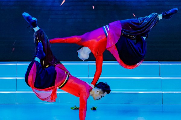 身亡杂技演员家属不接受50万赔偿，在你看来50万是多是少，赔多少合适？