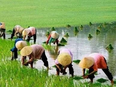 那个扬言要将农民消灭，国家才能昌盛的北大教授王福重，现状如何？