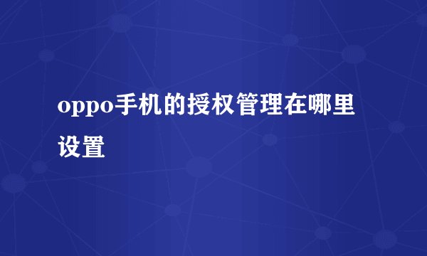 oppo手机的授权管理在哪里设置