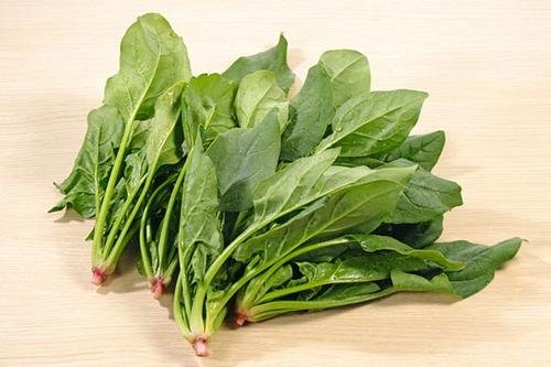 身体缺铁吃什么食物能补?