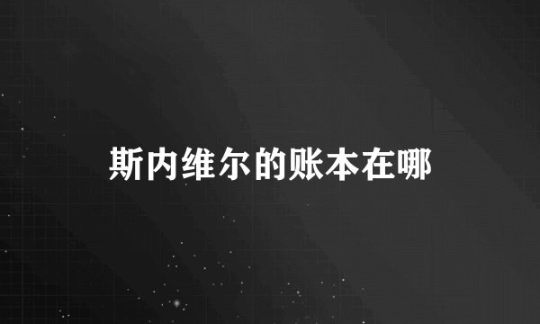 斯内维尔的账本在哪