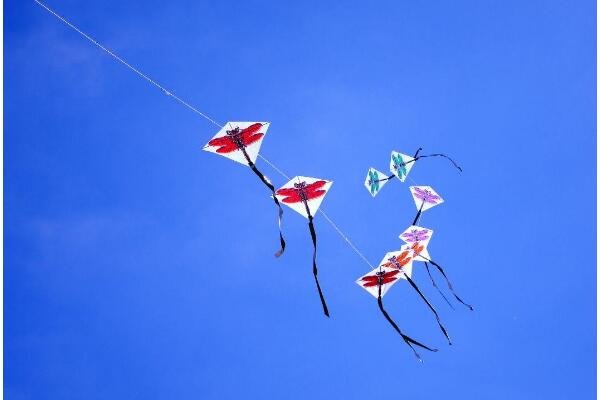 日本祈愿风筝被批恐怖,你知道祈愿风筝是用来干什么的吗?