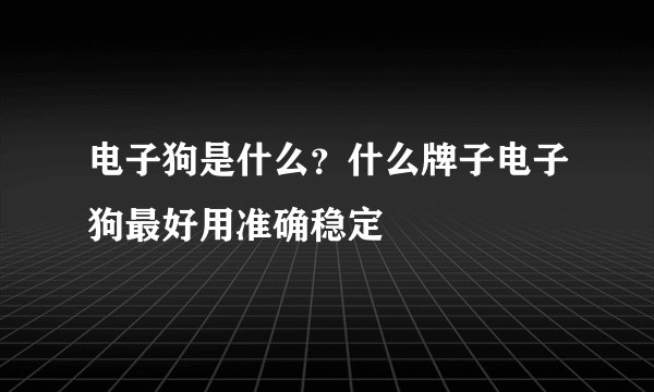 电子狗是什么？什么牌子电子狗最好用准确稳定