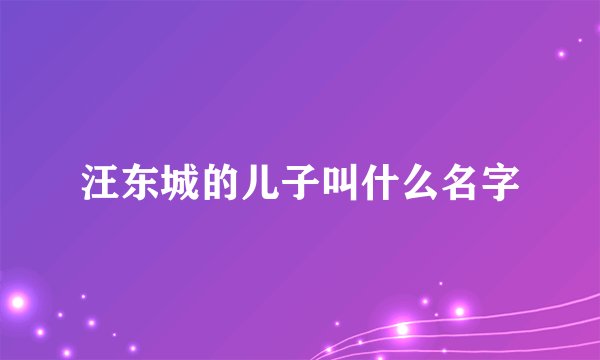 汪东城的儿子叫什么名字
