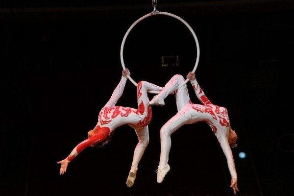 身亡杂技演员家属不接受50万赔偿，在你看来50万是多是少，赔多少合适？